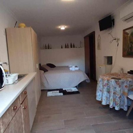 Casa Das Matriarcas - Casa Da Avo Benvinda Belmonte  Eksteriør bilde